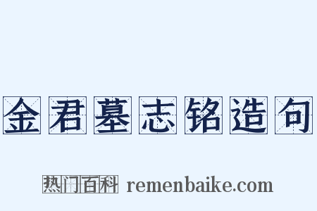 金君墓志铭造句是什么意思的图片